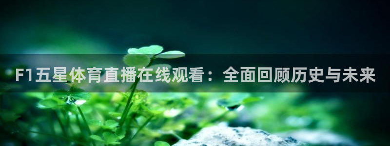 F1五星体育直播在线观看：全面回顾历史与未来