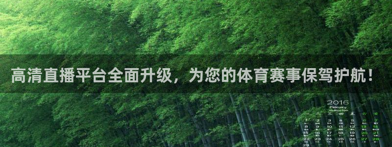 高清直播平台全面升级，为您的体育赛事保驾护航！