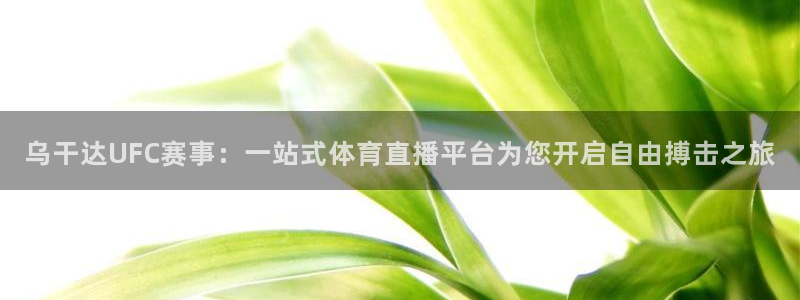 乌干达UFC赛事：一站式体育直播平台为您开启自由搏击之旅