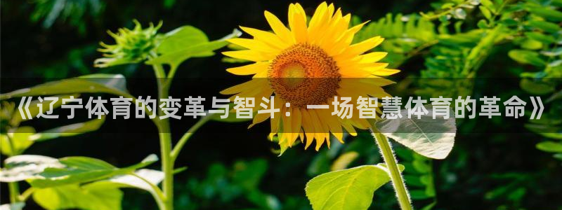 《辽宁体育的变革与智斗：一场智慧体育的革命》