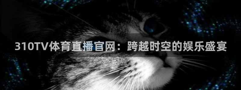 310TV体育直播官网：跨越时空的娱乐盛宴
